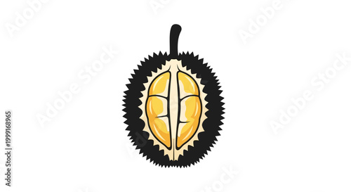 Detailed vector illustration of a halved durian fruit, presented as a stylized icon with a spiky outer shell and yellow segments inside, set against a clean white background for versatile