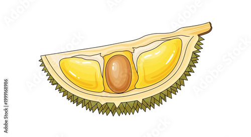 Detailed vector illustration of a sliced durian fruit, showcasing its creamy yellow segments and a large seed, presented as a character icon against a clean white background with a bright