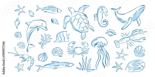 Hand Drawn Marine Life Illustration Set with sea animals. Crayon drawing vector elements.