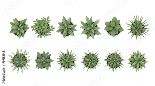 Set of top view potted plants