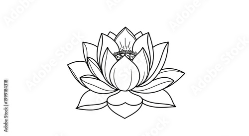 Tableau sur toile Detailed Line Drawing of Lotus Flower.