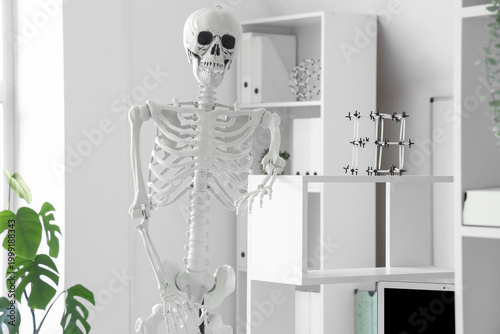 Human skeleton model in lig...