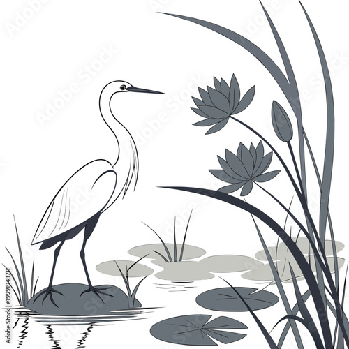 Black and white heron standing on a rock in a pond bird water lily pads