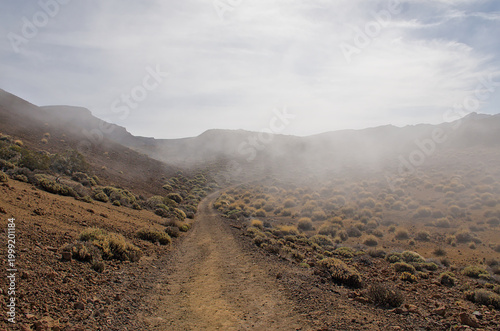 Konstfotografi path the misty mountains and shrubland of Teide national park, Tenerife, Canary