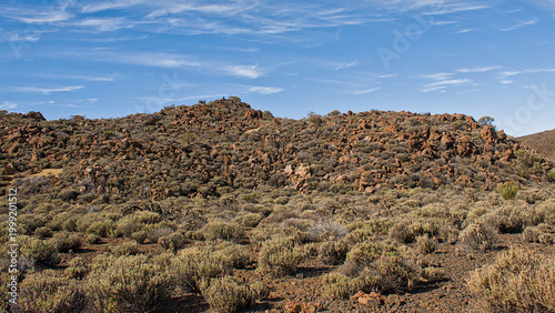 Schilderij op canvas Sunny shrubland with rocks in Tenerife