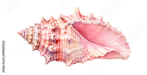 Schilderij op canvas A charming watercolor seashell featuring a pink conch shell with delicate ridges and soft coastal textures illustrated in a natural realistic style