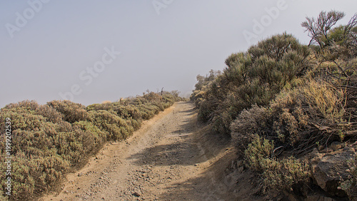 Foto hiking trail though misty shrubland in the mountains of Teide national park, Ten