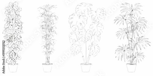 Foto Potted indoor plants sketch set botanical line art illustration