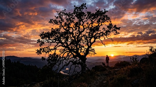 Focuses on the strength and presence of the ancient tree
Highlights the warm, vibrant colors and the hiker's achievement