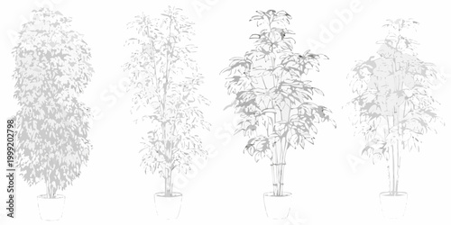 Potted indoor plants collection vector illustration grayscale