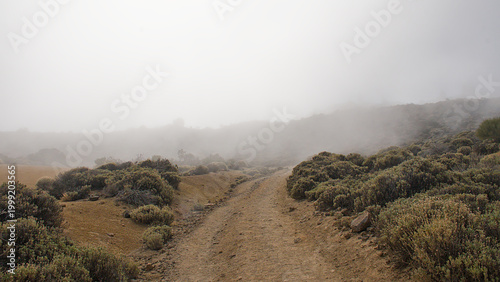 Konstfotografi . hiking trail though misty shrubland in the mountains of Teide national park, T