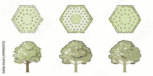 Tree shrub plan views and top views set of six elements