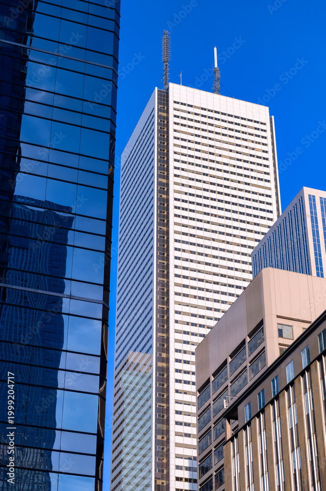 Fototapeta premium Toronto cityscape in the downtown district, Canada