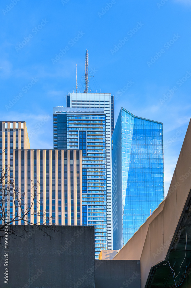 Fototapeta premium Toronto cityscape in the downtown district, Canada