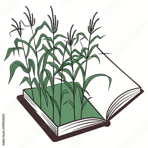 open book transforming into a crop field illustration high quality professional