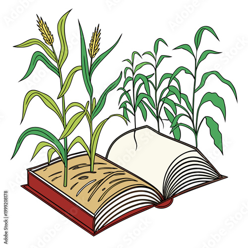 Wheat stalks and plants growing from an open book vector illustration