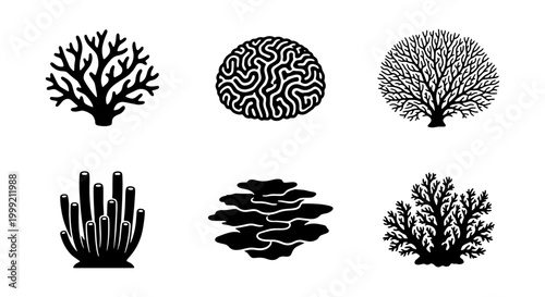 Coral reef, marine life, black icons, vector set, oceanography, ecology symbols