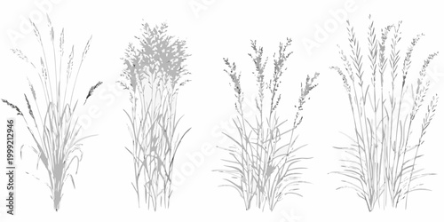 Grass and sedge line art four variations on white background
