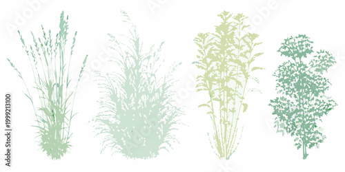Botanical grass illustrations four green line art variants on white background