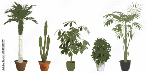 Potted houseplants collection six different varieties on white background