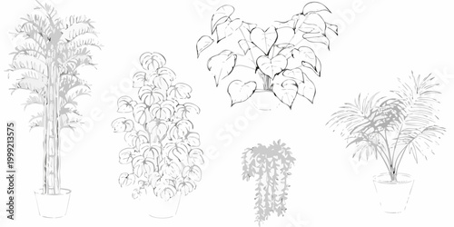 Potted indoor plants collection hand drawn line art style