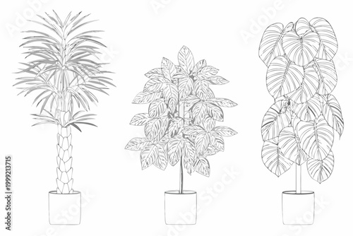 Potted plants line art three variations in simple vector style