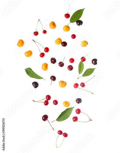Assorted red yellow and dar...
