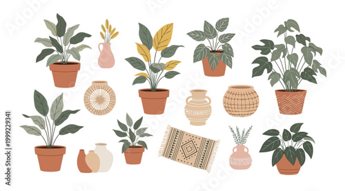 Set of various indoor house plants in ceramic pots and decorative vases