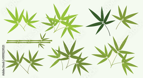 A collection of green bamboo leaves