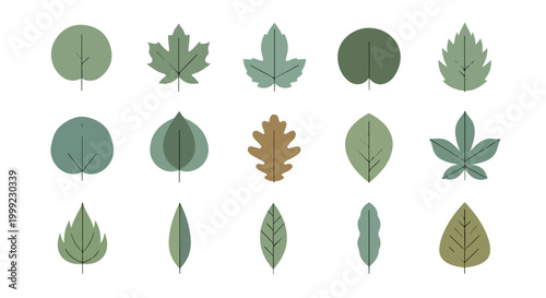 A collection of 15 different green and brown leaf graphics
