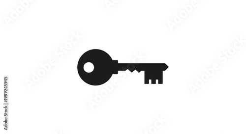 Black metal old fashioned key.