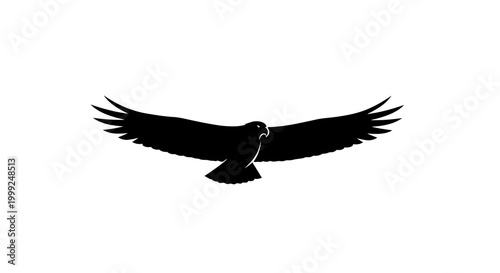Silhouette of a soaring eagle with outstretched wings against a clean white background.