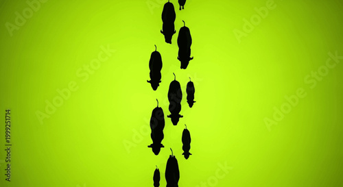 A top-down view of a vertical line of black rat silhouettes on a vibrant lime green background, suggesting a path or movement.