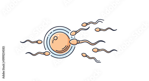 Fertilization process illustration showing multiple sperm cells swimming towards a large egg cell to represent human reproduction and biology.