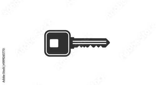 Photos A single metal house key.