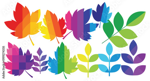 A colorful arrangement of stylized leaves in various shapes and sizes