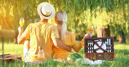 Happy young couple on picni...