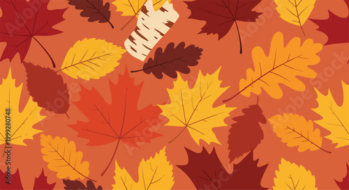 A colorful arrangement of various autumn leaves