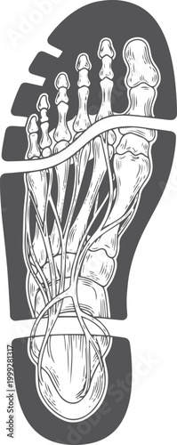 Black and white foot skeleton inside shoe sole outline