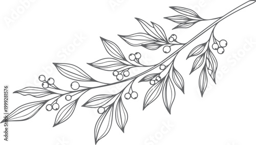 Black and white line of a berry branch leaves