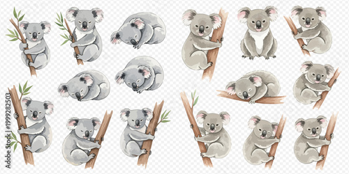 Set of cute watercolor koalas in various poses, including sleeping and climbing on branches, isolated on transparent background.