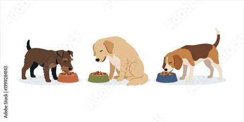 A cute vector illustration of a happy brown puppy and smiling cat playing with a ball, featuring a funny cartoon design of these friendly pet animals in a nature art style