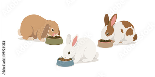 Cute cartoon vector illustration of a happy baby bunny set with different pink Easter egg shoes and funny animal ears for a spring holiday card design