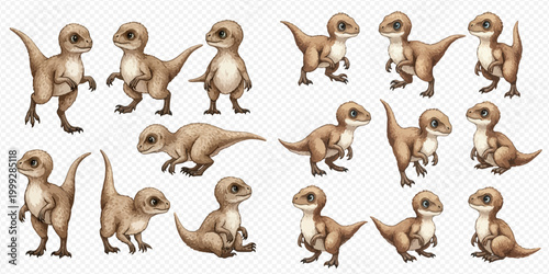 Set of cute baby velociraptor dinosaurs in various poses, prehistoric animal collection.