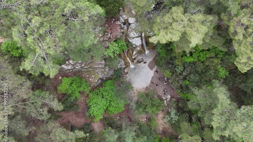 Peaceful Waterfall Flowing Through a Beautiful Green Forest
