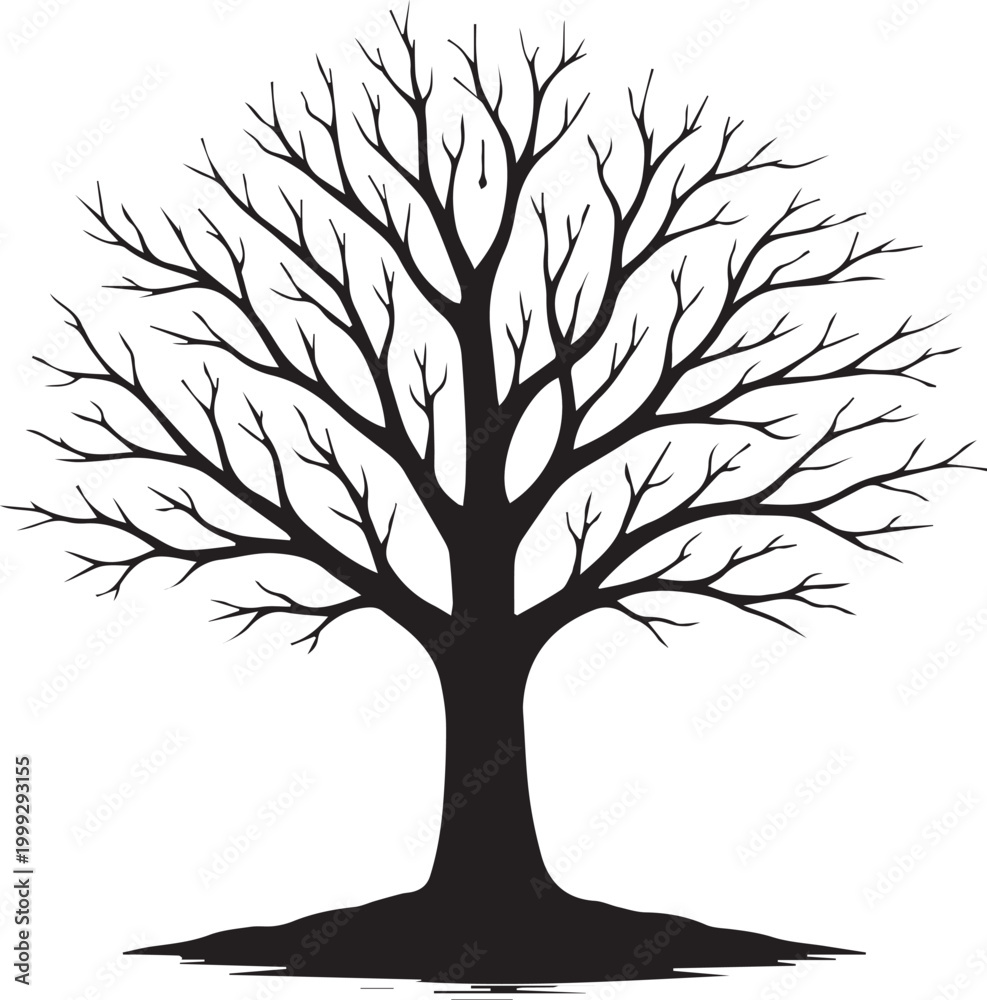 Fototapeta premium Bare tree silhouette vector minimalist leafless tree icon isolated on transparent background winter nature design botanical illustration