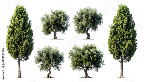 Seven realistic 3D rendered trees, two cypress and five leafy, against a stark black background