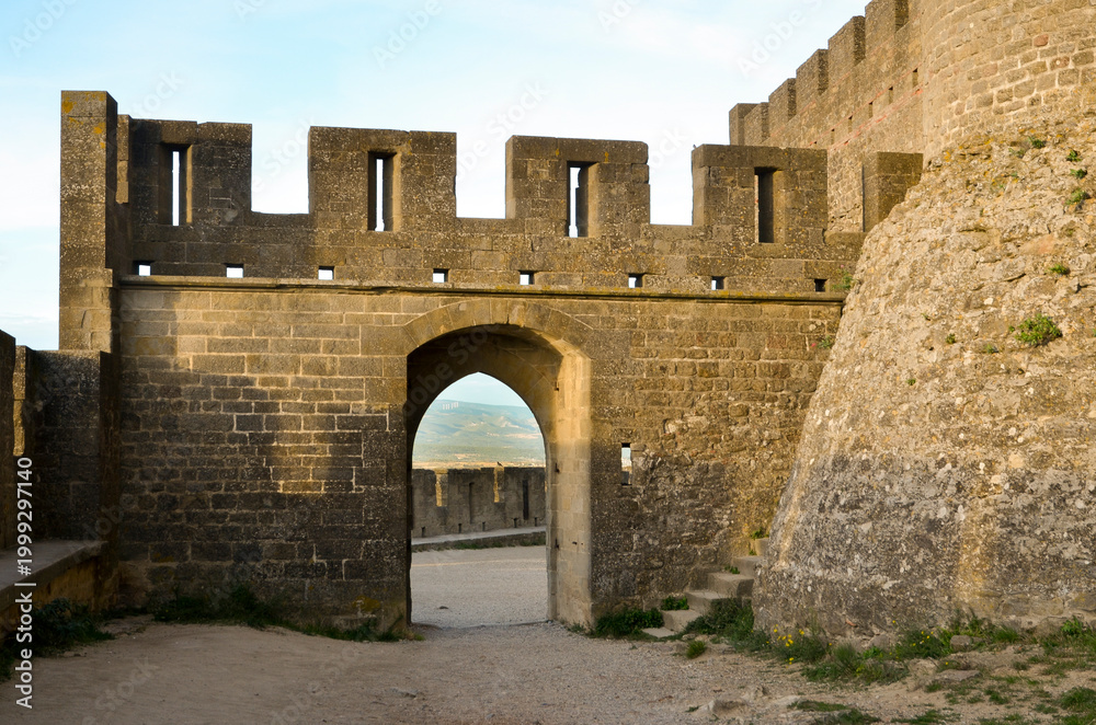 Fototapeta premium Carcassonne