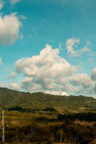 This image captures a serene and vast landscape, dominated by a lush green mountain range stretching across the horizon. The rolling hills are densely carpeted with various shades of green foliage, su