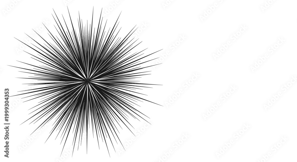 Fototapeta premium Sharp and dense black sunburst or starburst graphic with numerous thin lines radiating from a central point on a white background.
